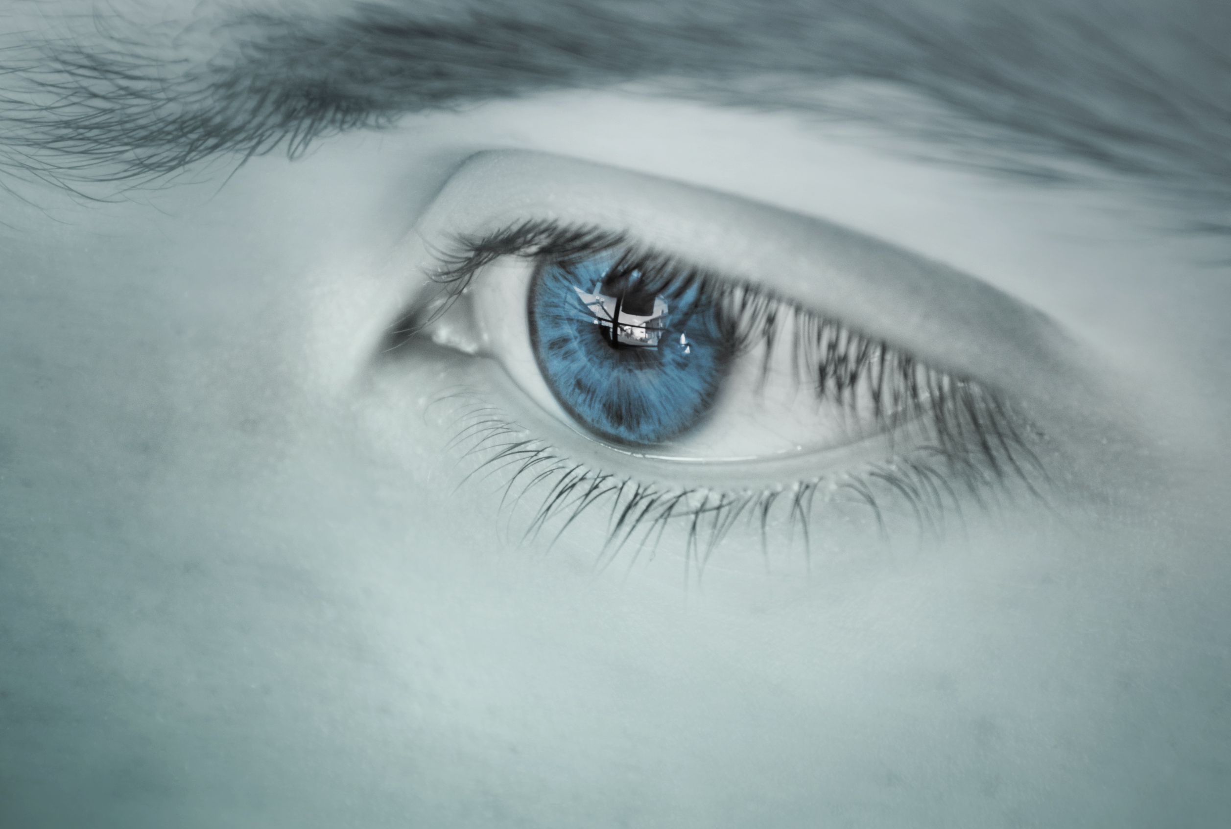 Contact Lenses
