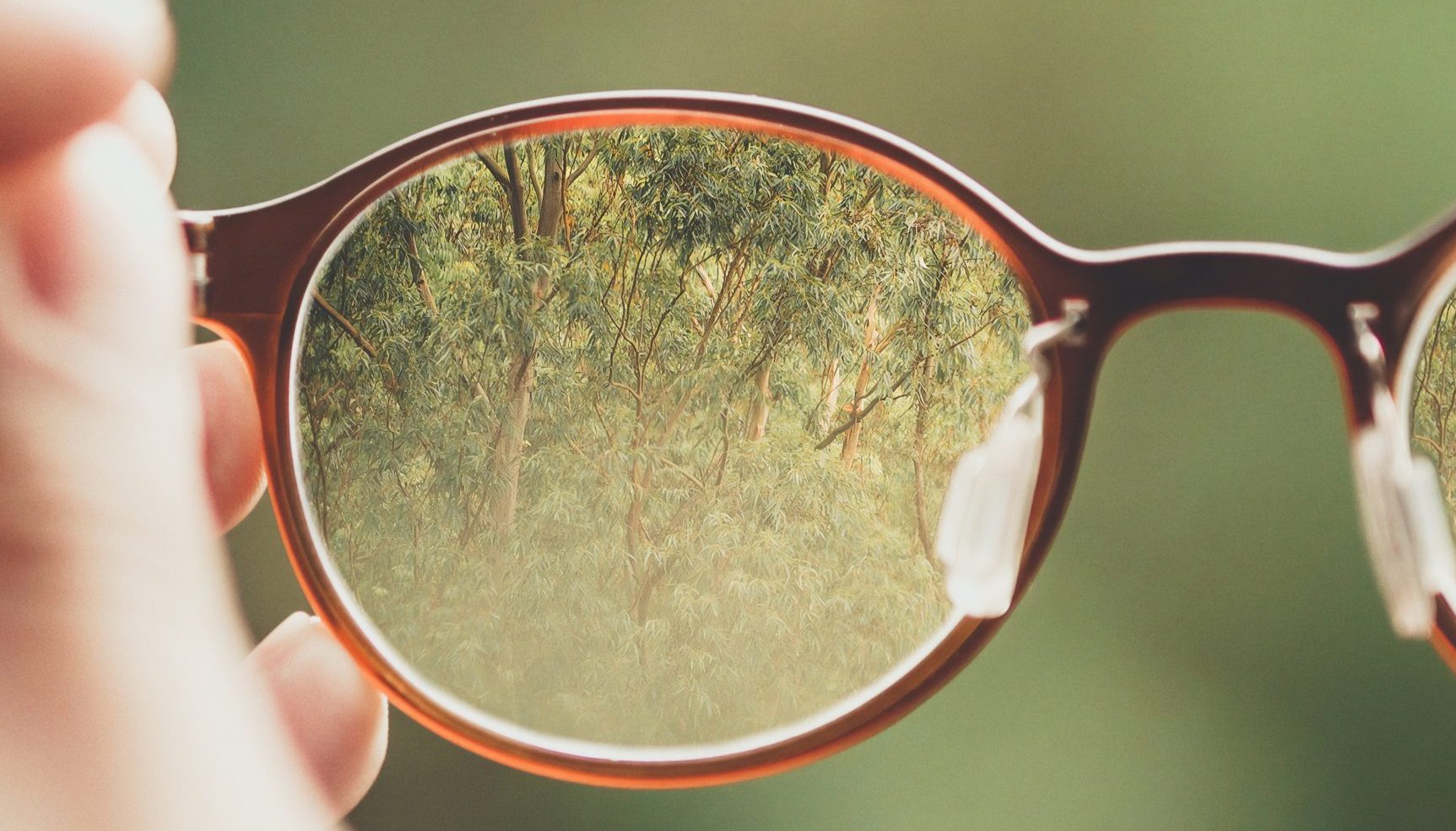 Spectacle lens and trees